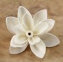 sola flowers 13